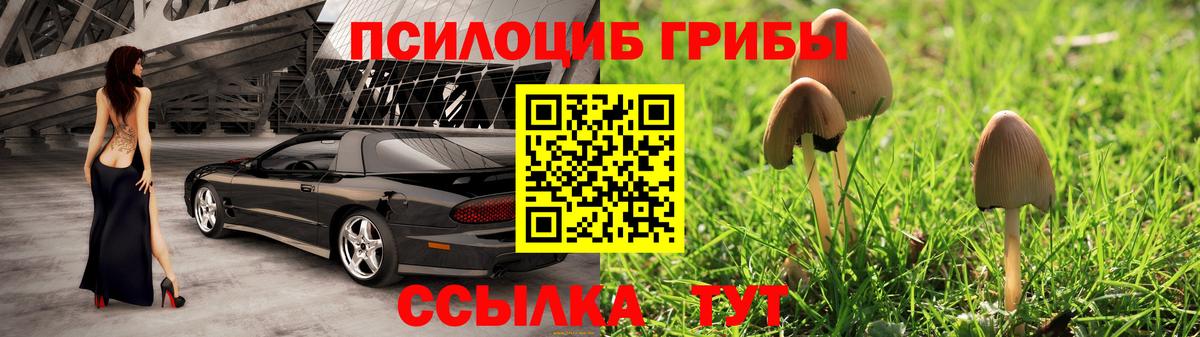 Псилоцибиновые грибы мухоморы Кингисепп